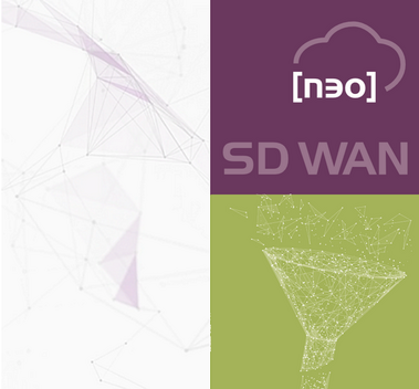 SD WAN [neo]