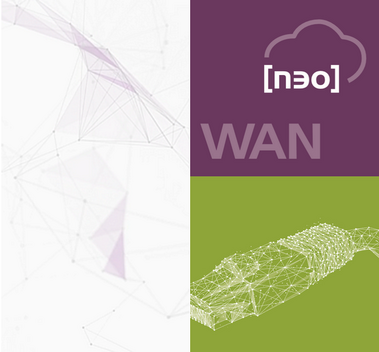 WAN [neo]